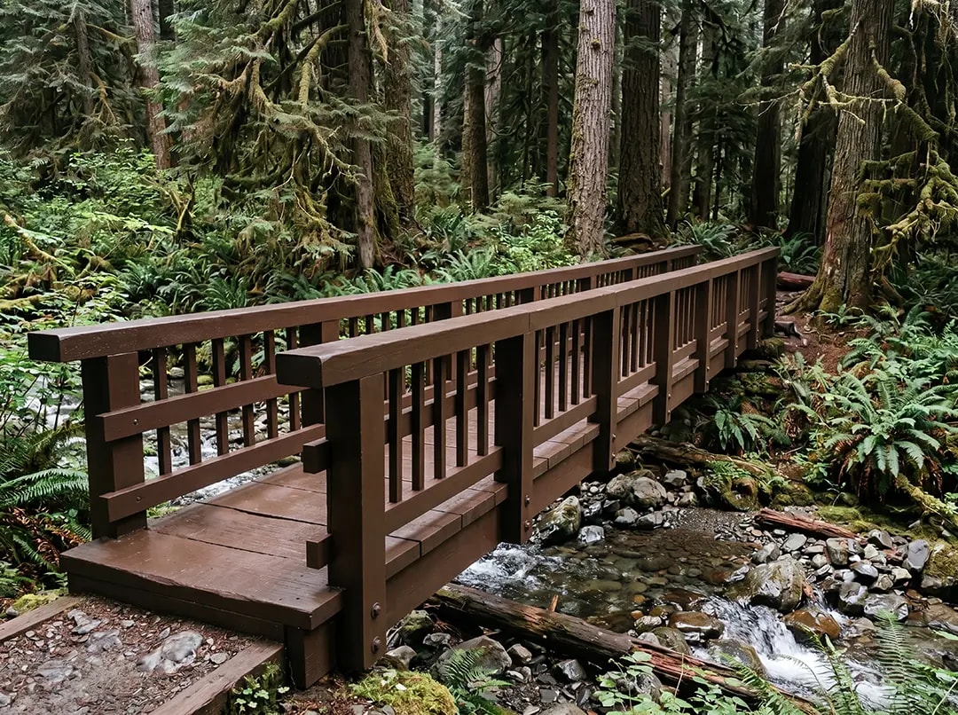 Forest pathway with wooden bridge, surrounded by greenery, showcasing fire protection measures in a wildfire-prone area.